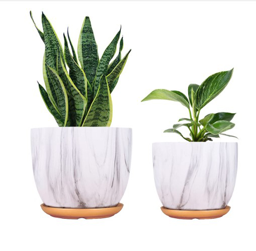 Medium Sized Plant Pots