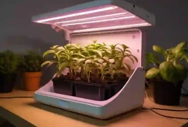 battery-powered grow lights