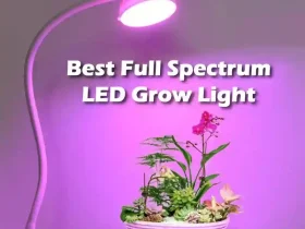 Best Full Spectrum LED Grow Light