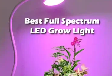 Best Full Spectrum LED Grow Light