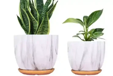 medium sized plant pots