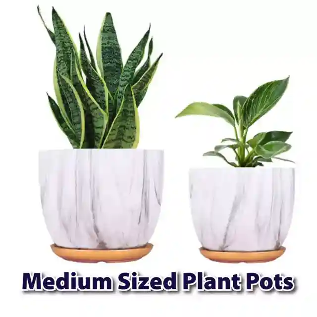 medium sized plant pots