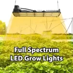 Full Spectrum LED Grow Lights