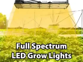 Full Spectrum LED Grow Lights