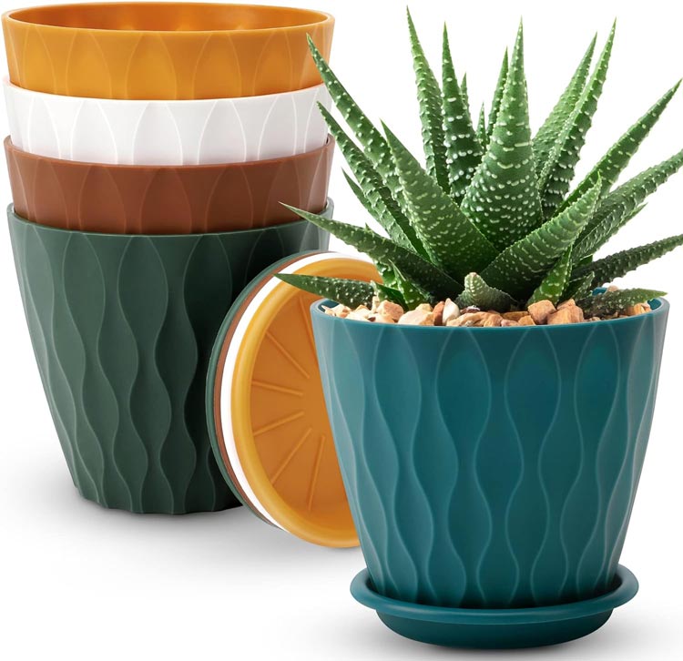 Medium Sized Plant Pots