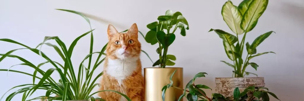 pet frendly plants