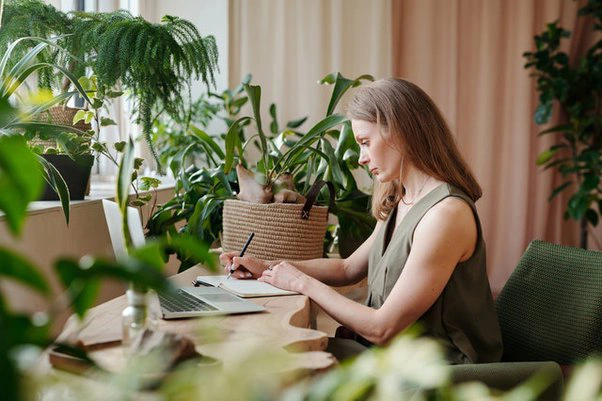 medium light indoor plants 