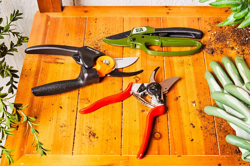 Best gardening shears for pruning