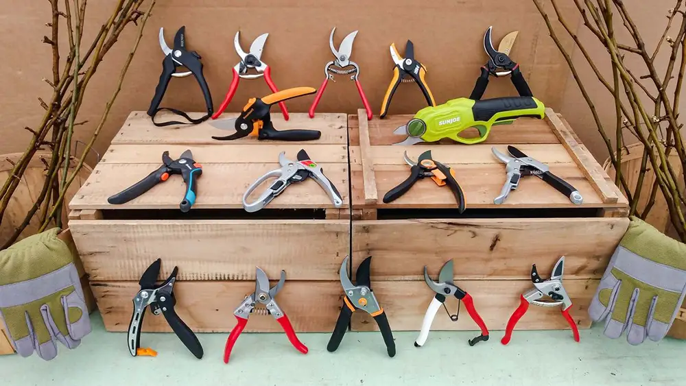 Best gardening shears for pruning