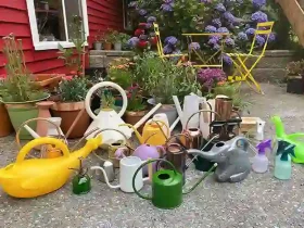 Watering Can