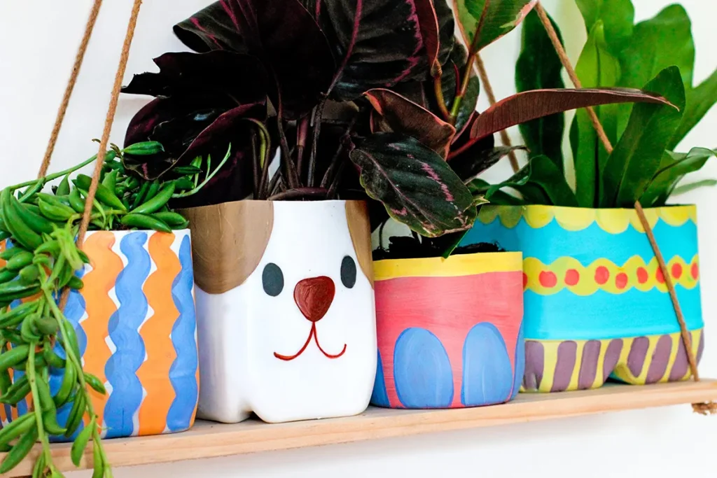 design pots for plants-bluey pot plant