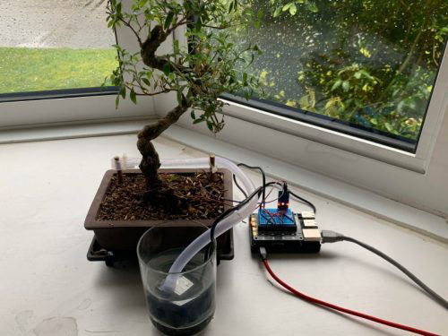 Bonsai watering systems.