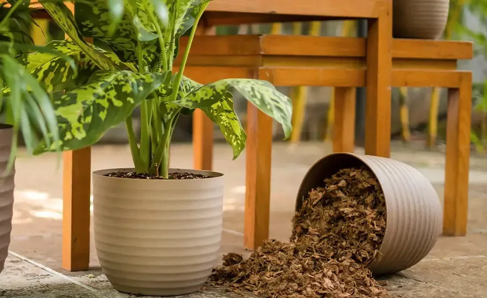 colorful planting pots