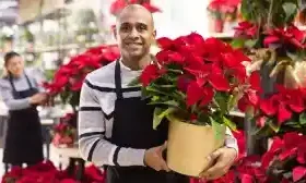 Red colored indoor plants