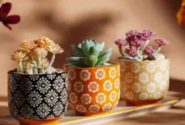 colorful planting pots