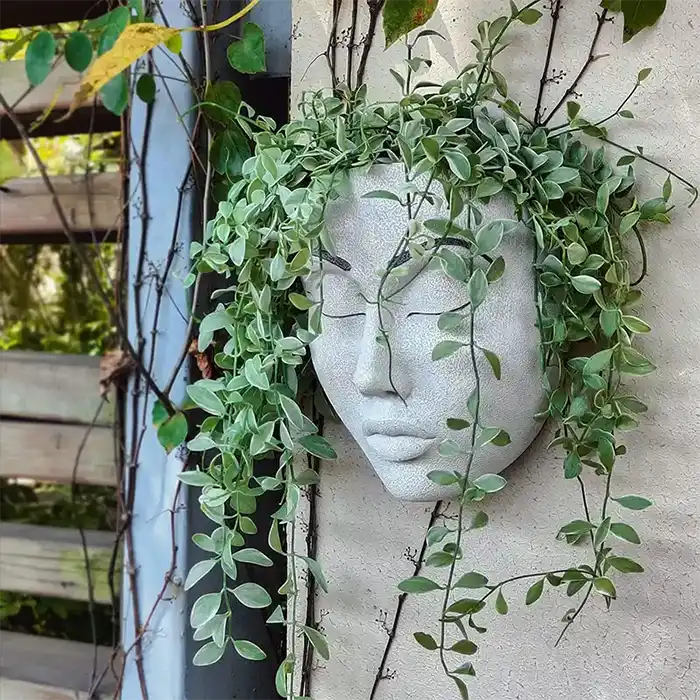 Head Pots for Plants 