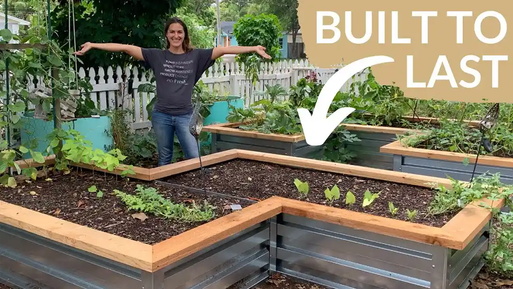 RAISED GARDEN BEDS