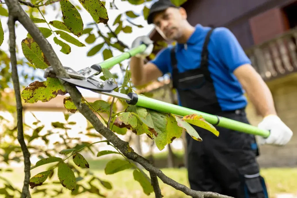 Best tree Loppers