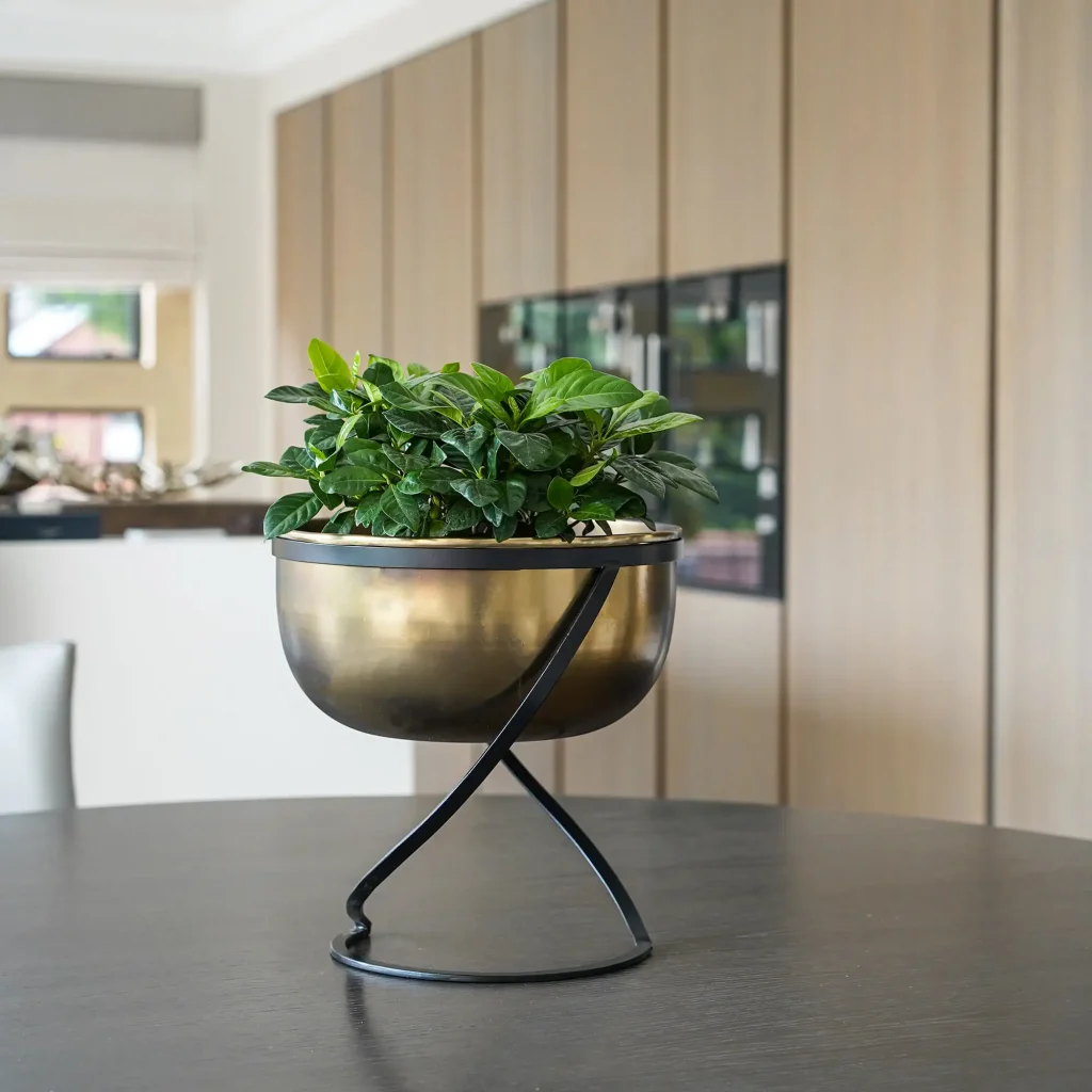 brass plant pot