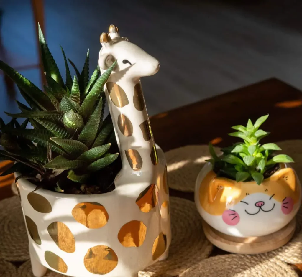 animal plant pots-colorful planting pots