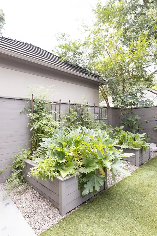 RAISED GARDEN BEDS