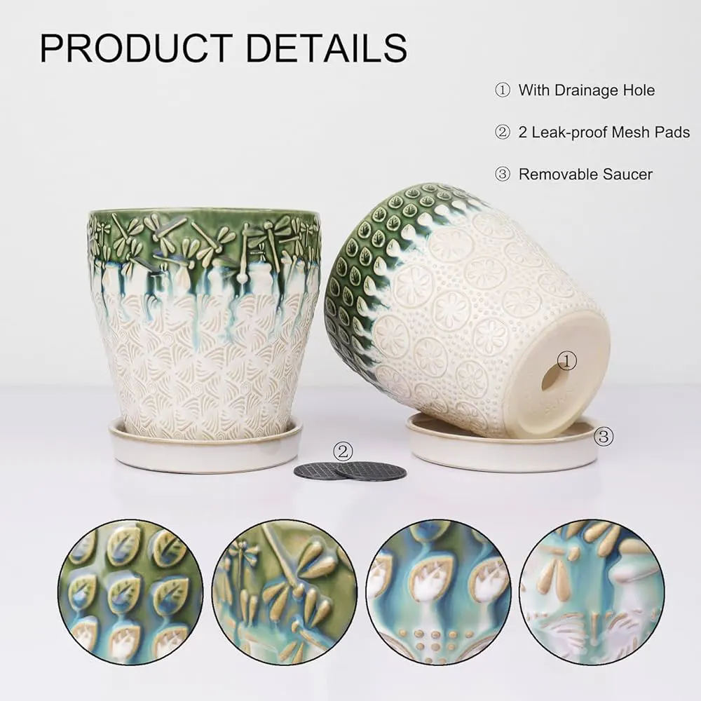 ceramic plant pots with drainage