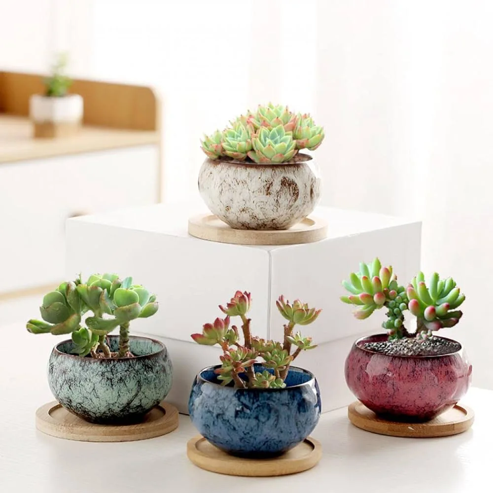 3-inch ceramic plant pots