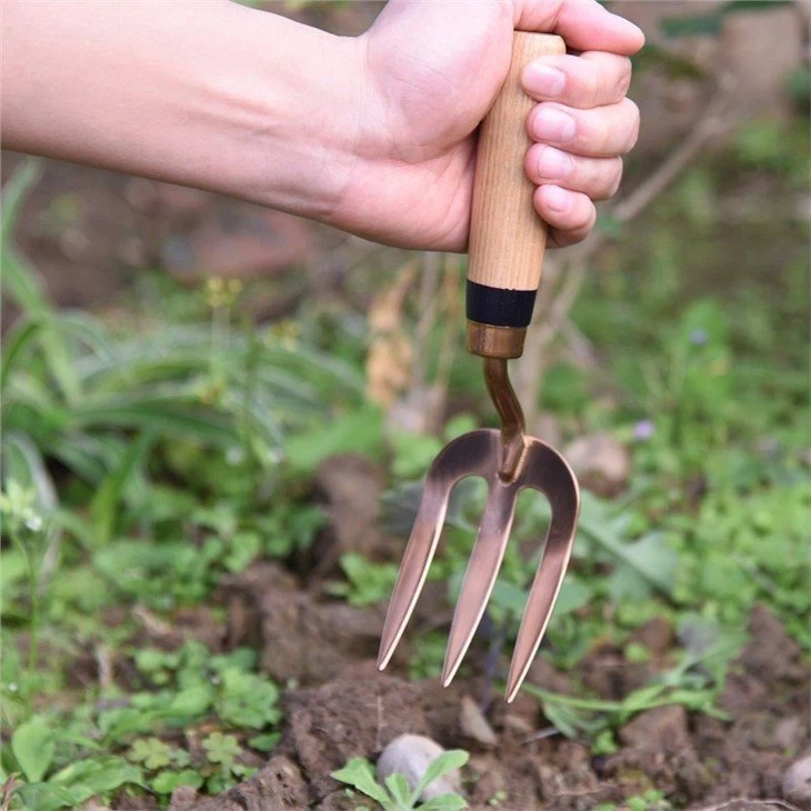 Narrow Fork Weeder