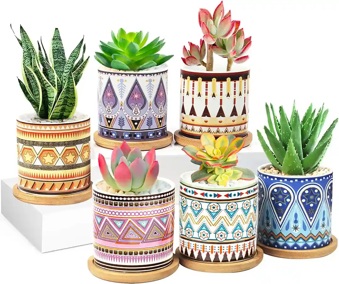 colorful ceramic pots for plants