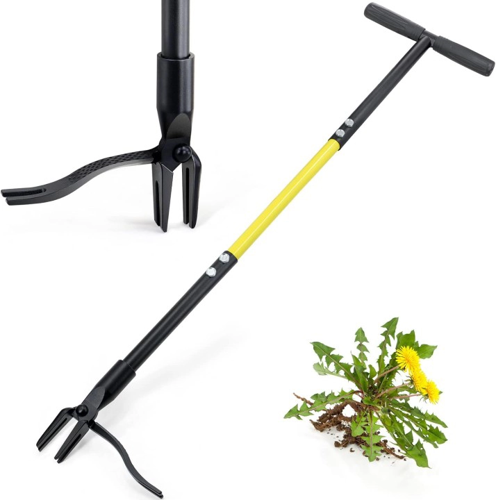 Standing Weeder