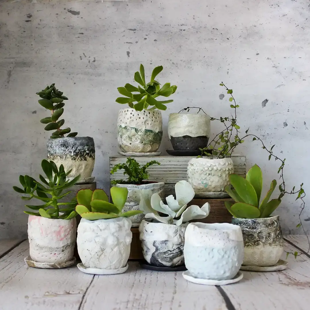 ceramic pot planter with saucer