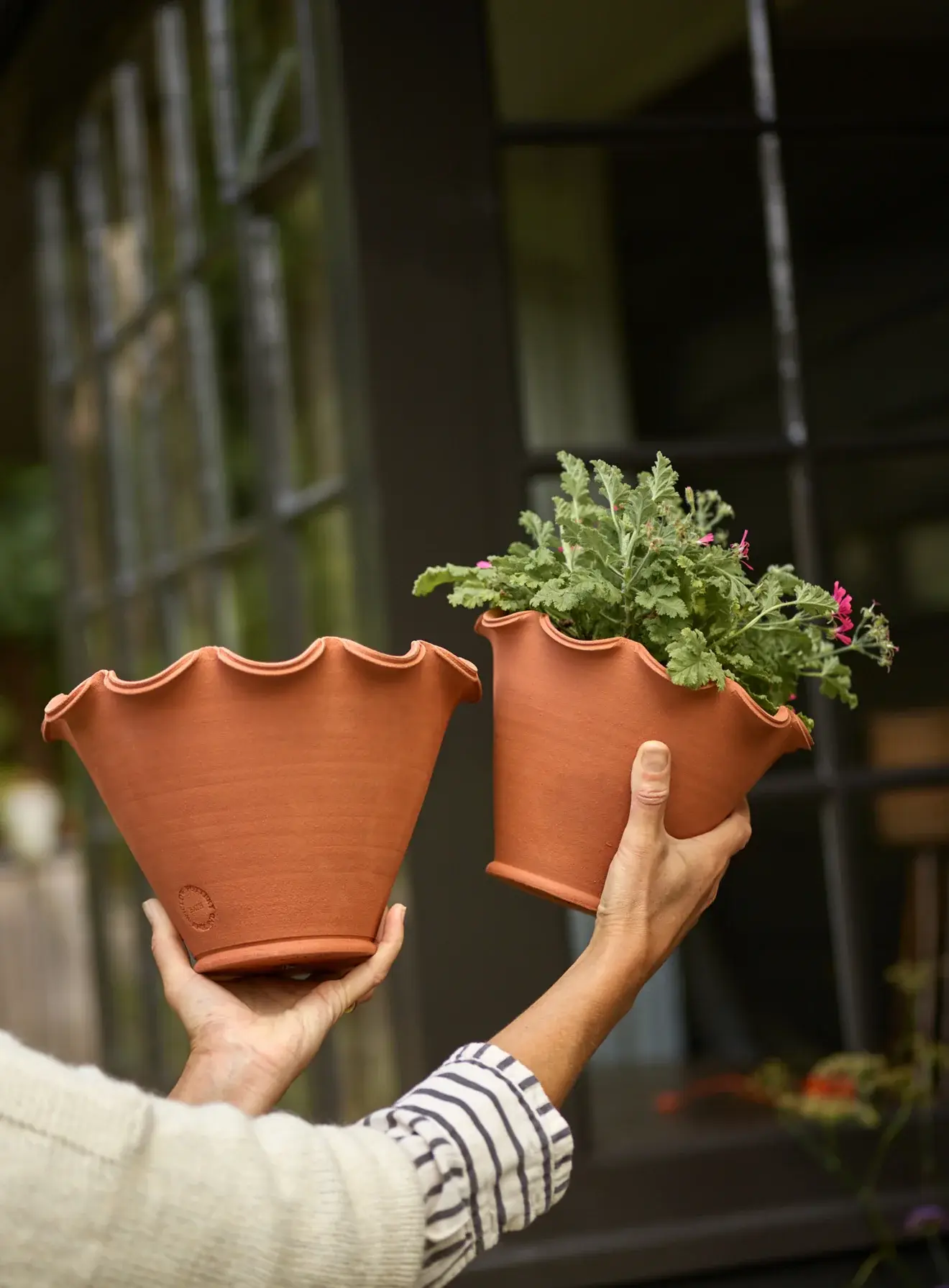 Terracotta pots