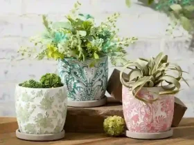 colorful ceramic pots for plants