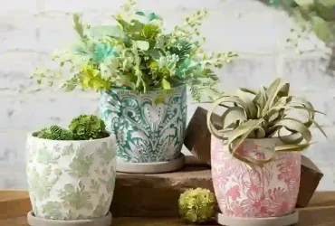 colorful ceramic pots for plants