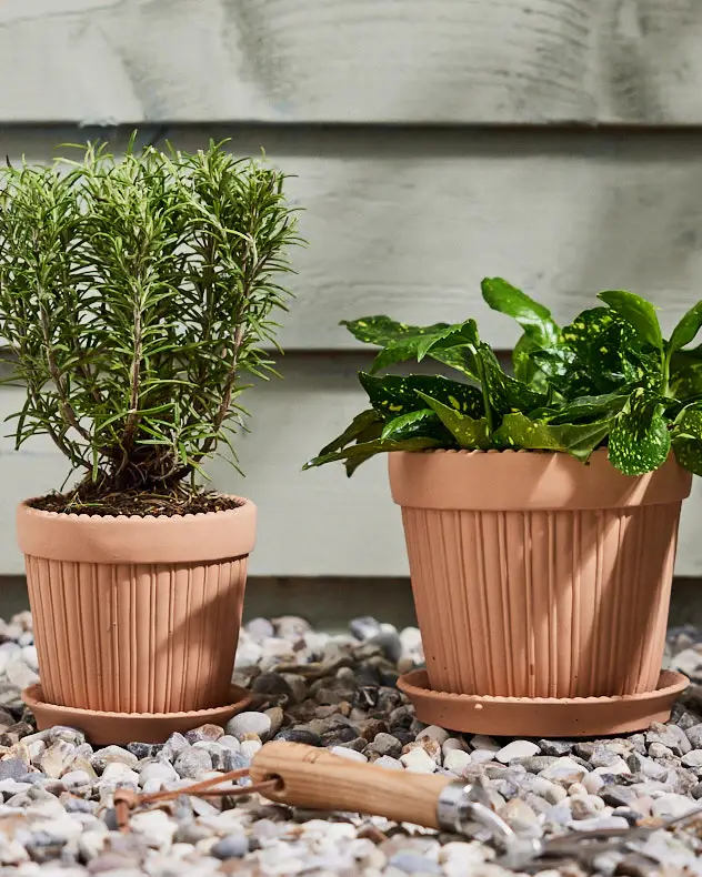 Large Ribbed Terracotta Pots