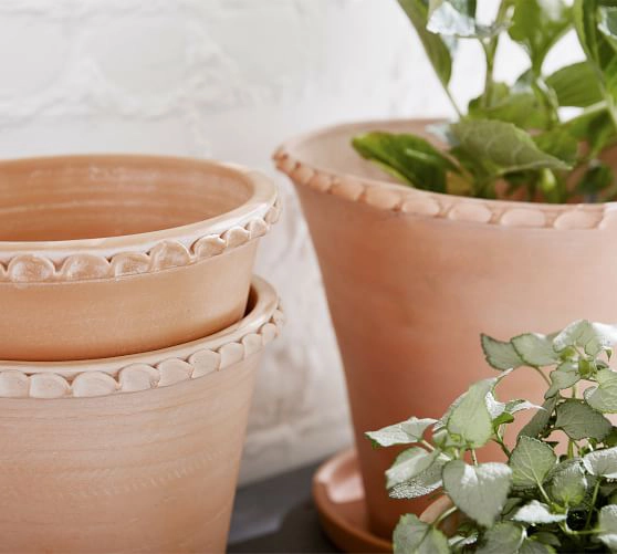 Rustic edge Terracotta Pots